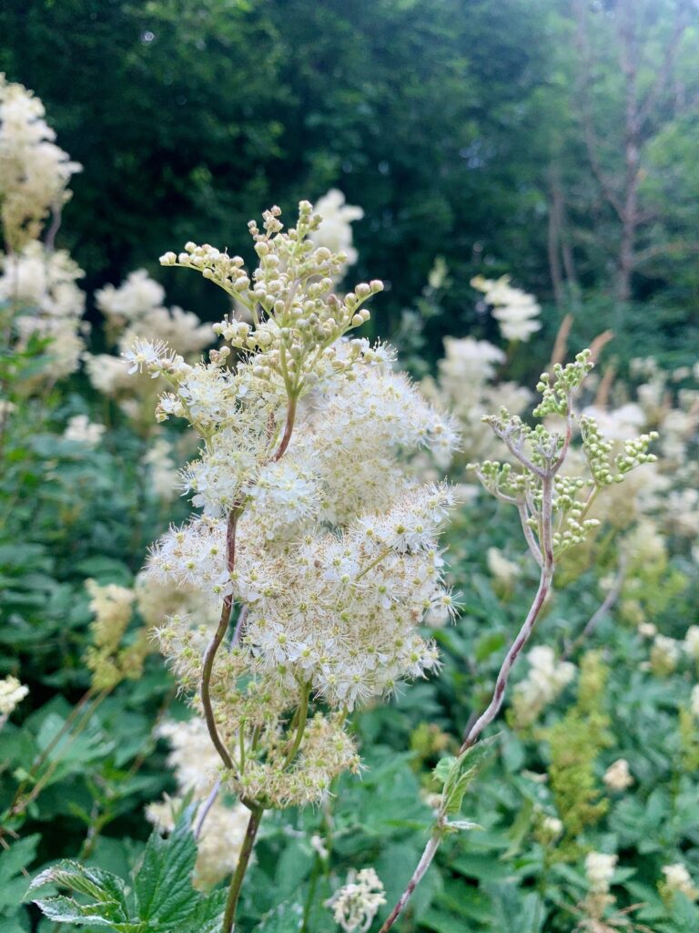 conférence Christophe Bernard Suisse
