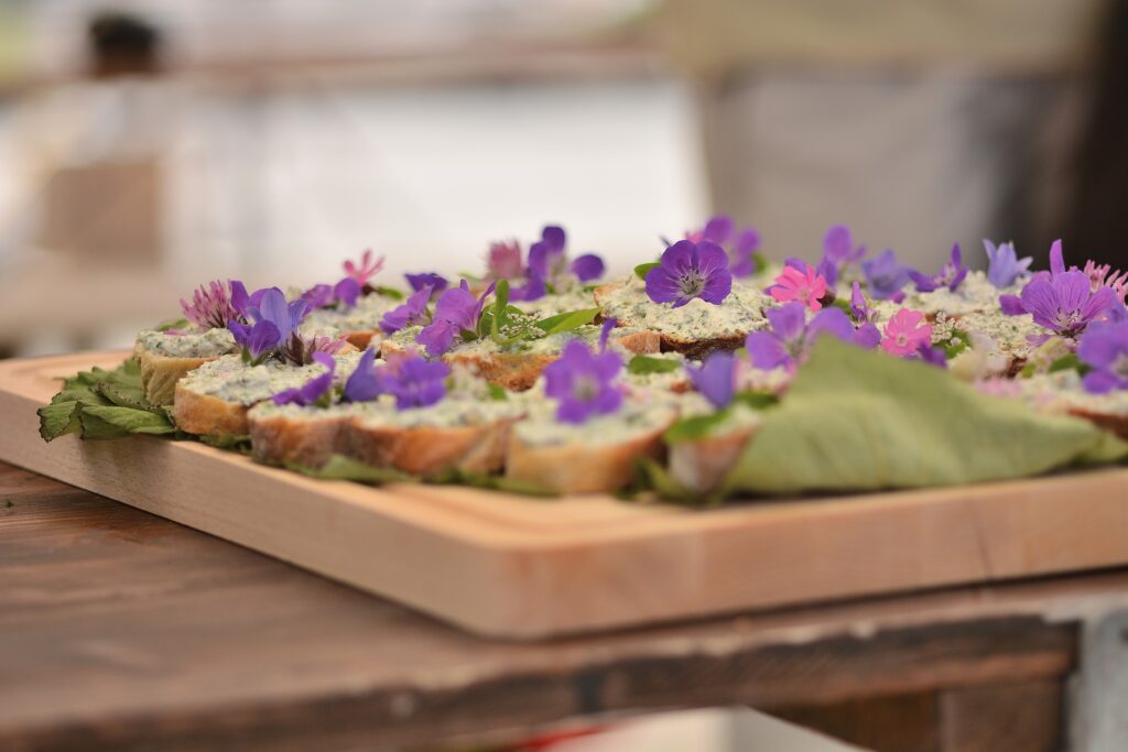 salon de la santé par les plantes - cuisine sauvage