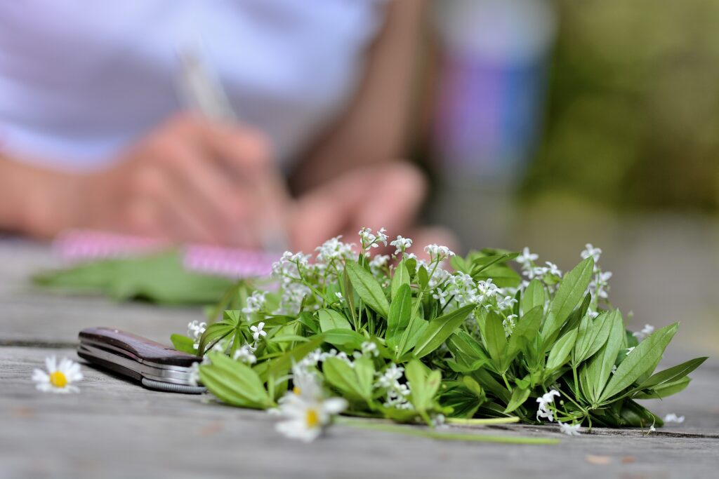 salon de la santé par les plantes - morgins - suisse