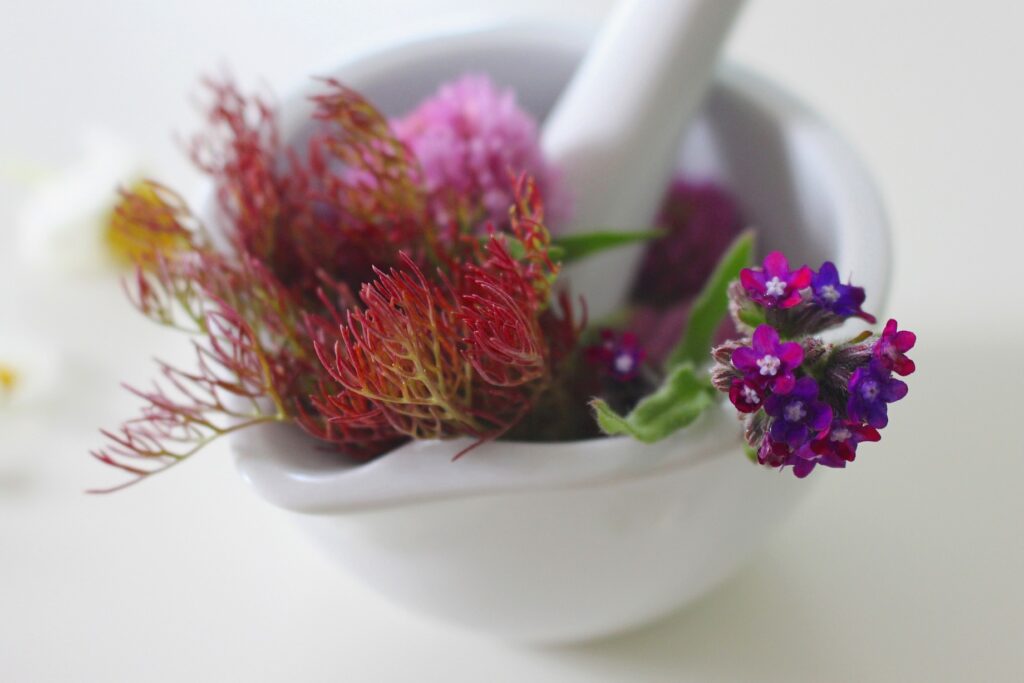 salon de la santé par les plantes - morgins- suisse - cosmétiques naturels