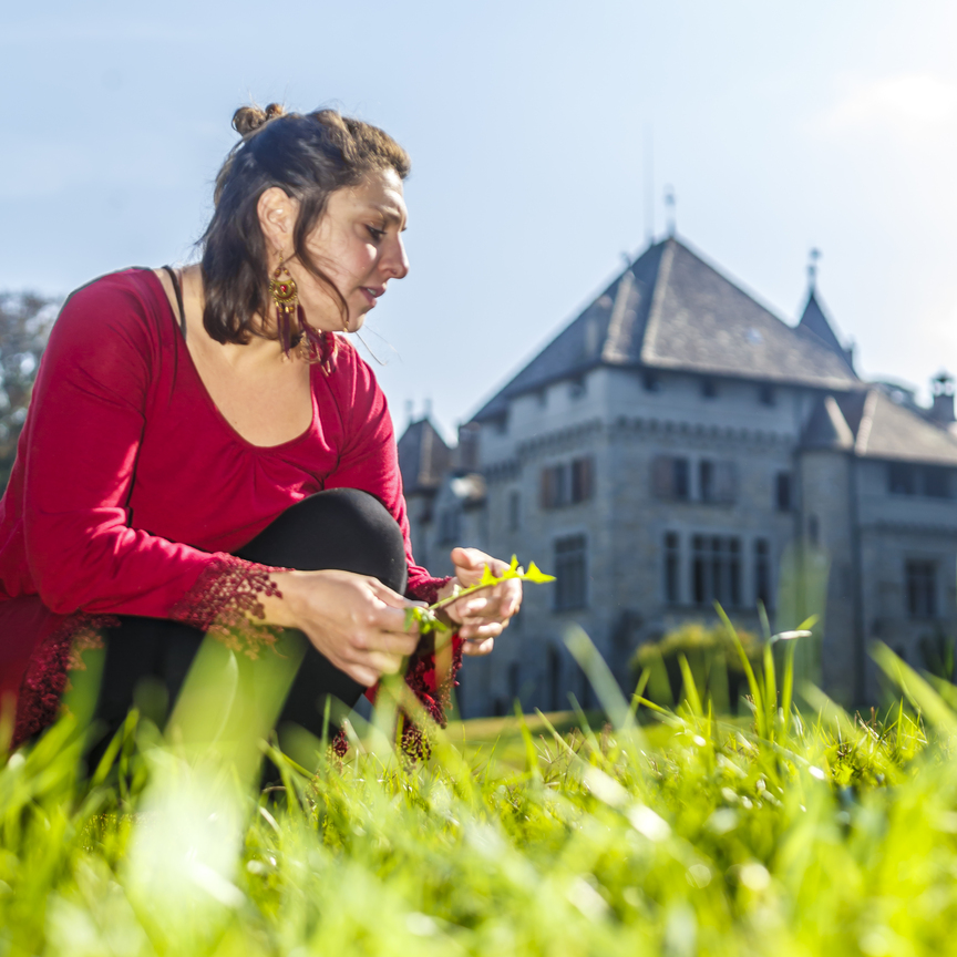 salon de la santé par les plantes - morgins- suisse - conferences