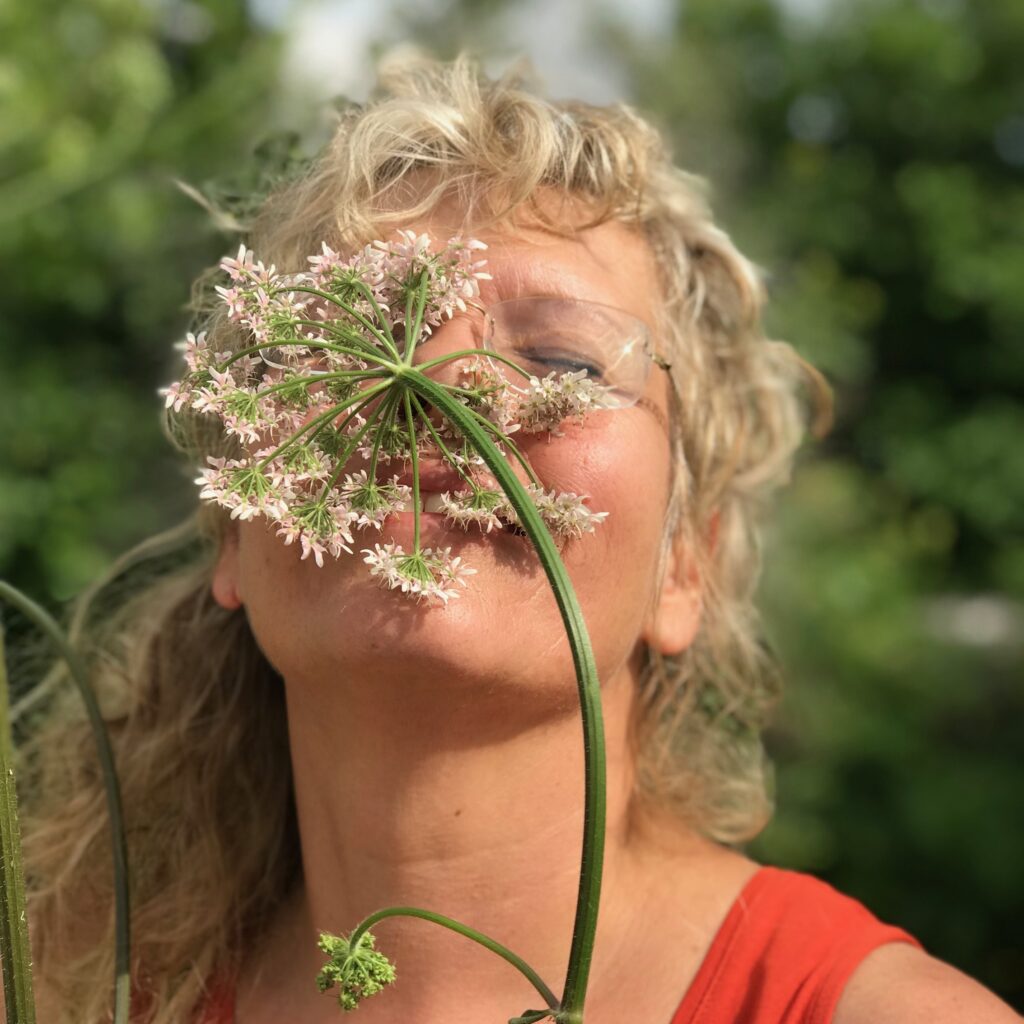 salon de la santé par les plantes - herboristerie - cuisine sauvage - santé naturelle - suisse - valais - région dents du midi - Myriam Matouschek