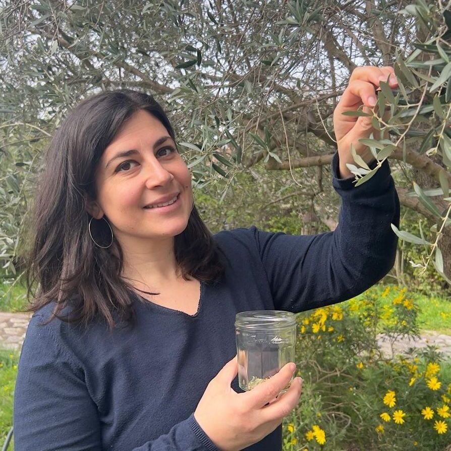 journée plantes et santé - Salon de la santé par les plantes - Valais - Anaïs Tachdjian