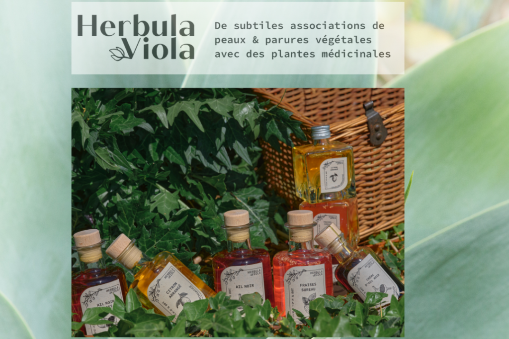 salon de la santé par les plantes - herboristerie - cuisine sauvage - santé naturelle - suisse - valais - région dents du midi - herbula viola